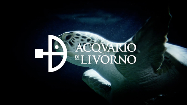 Acquario di Livorno - Brand Identity